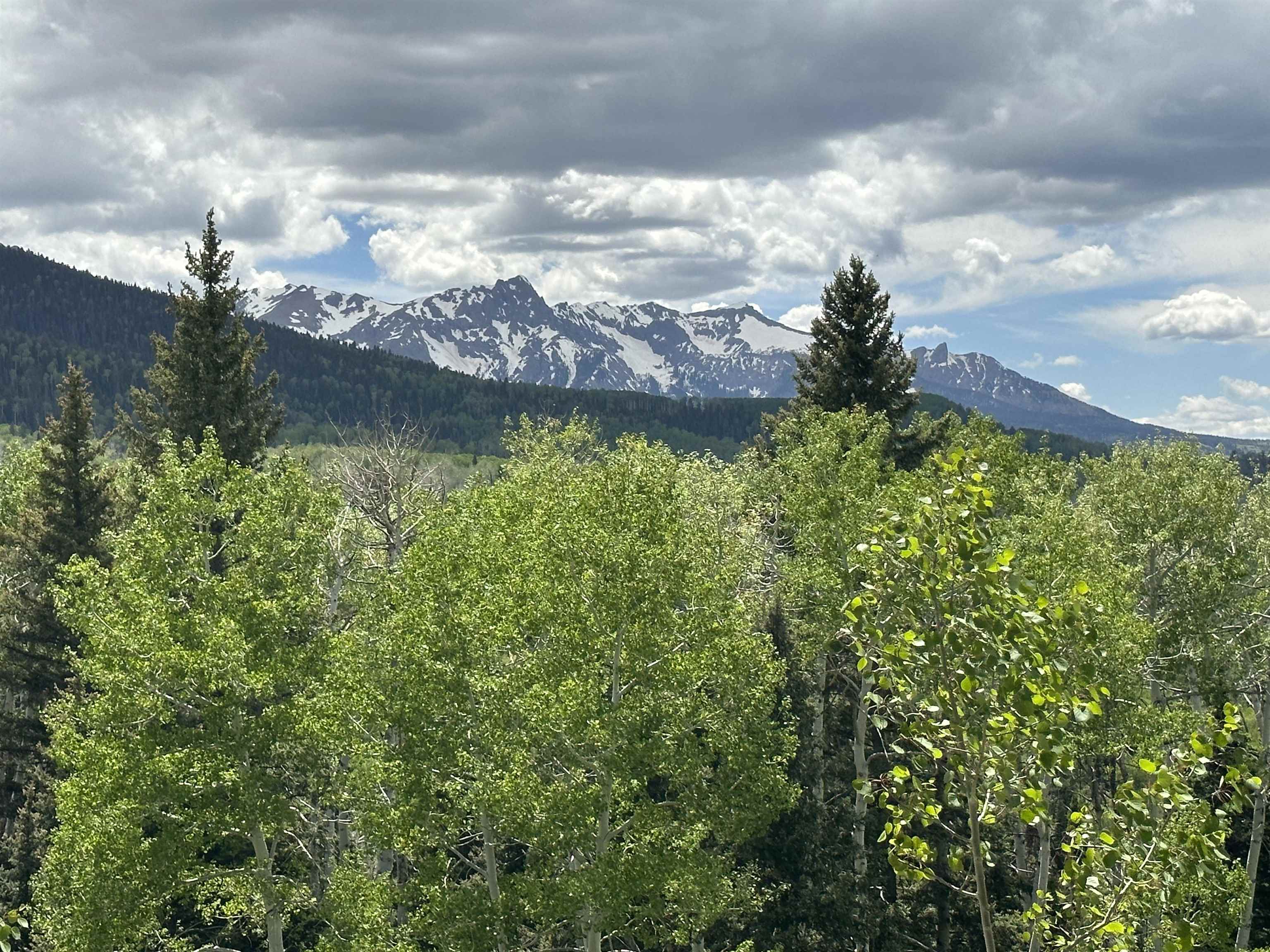 5 County Road 5, Unit TRACT 13 Ridgway, CO 81432 - Photo 15 of 19