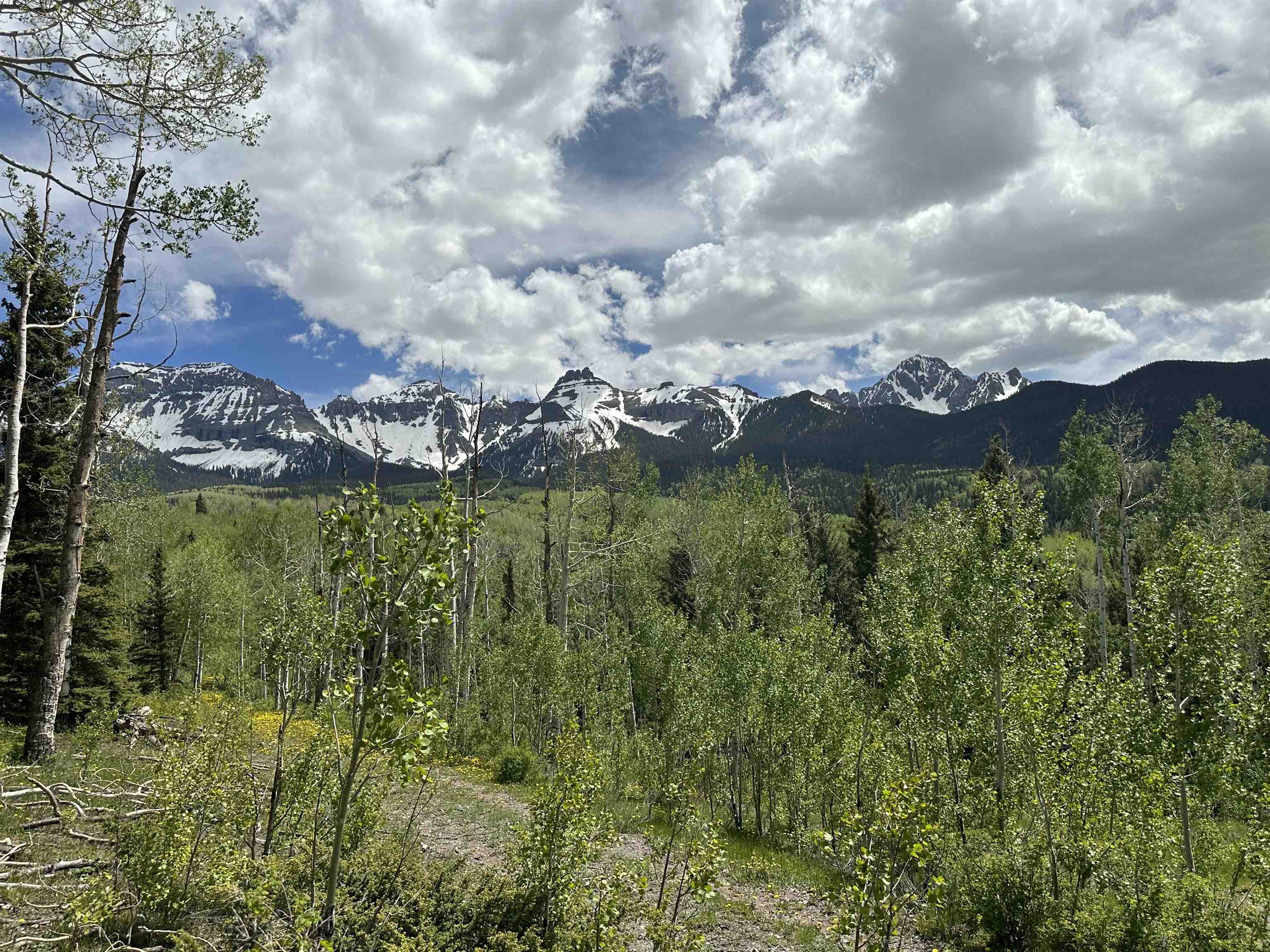 5 County Road 5, Unit TRACT 13 Ridgway, CO 81432 - Photo 16 of 19