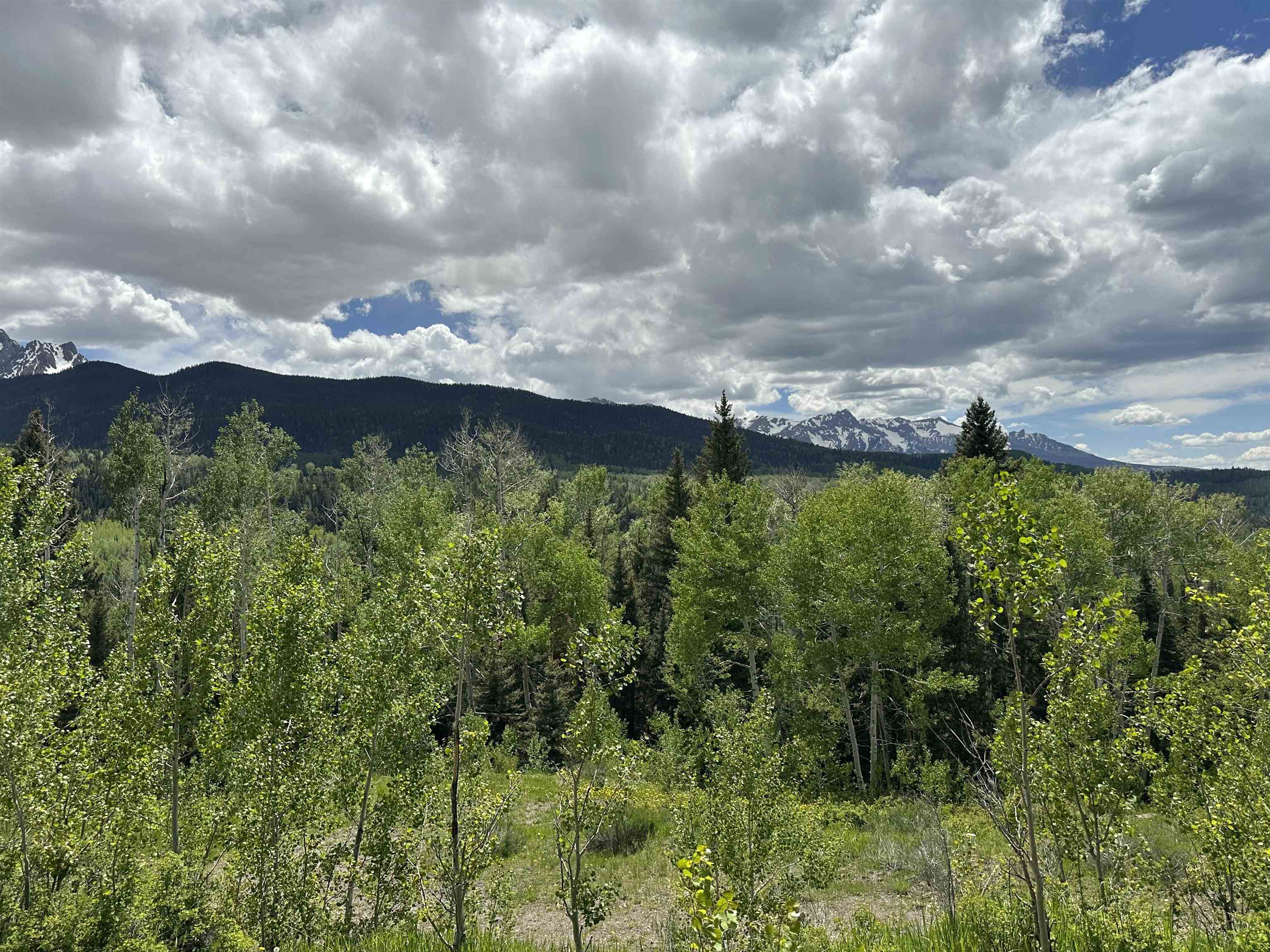 5 County Road 5, Unit TRACT 13 Ridgway, CO 81432 - Photo 17 of 19