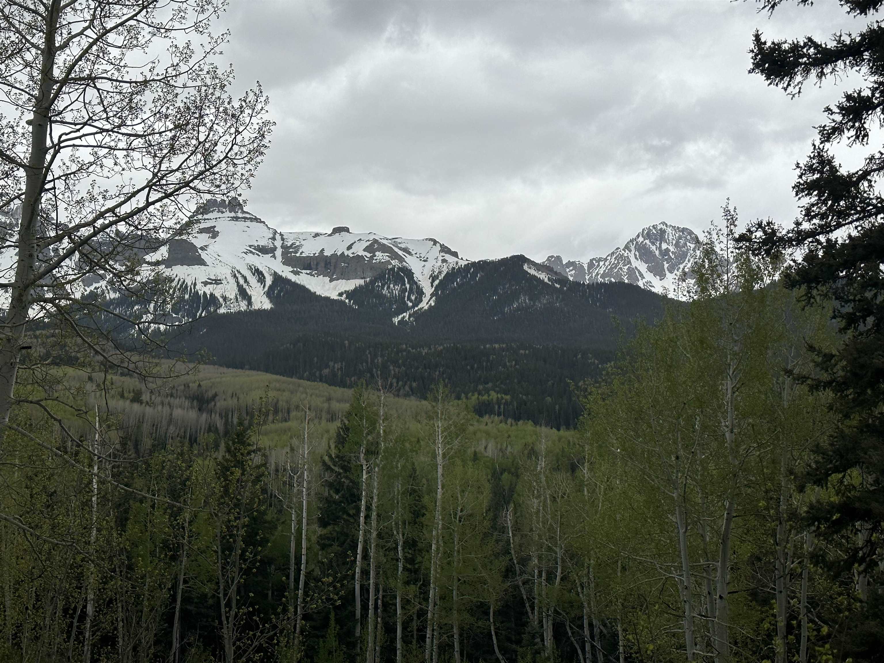 5 County Road 5, Unit TRACT 13 Ridgway, CO 81432 - Photo 2 of 19