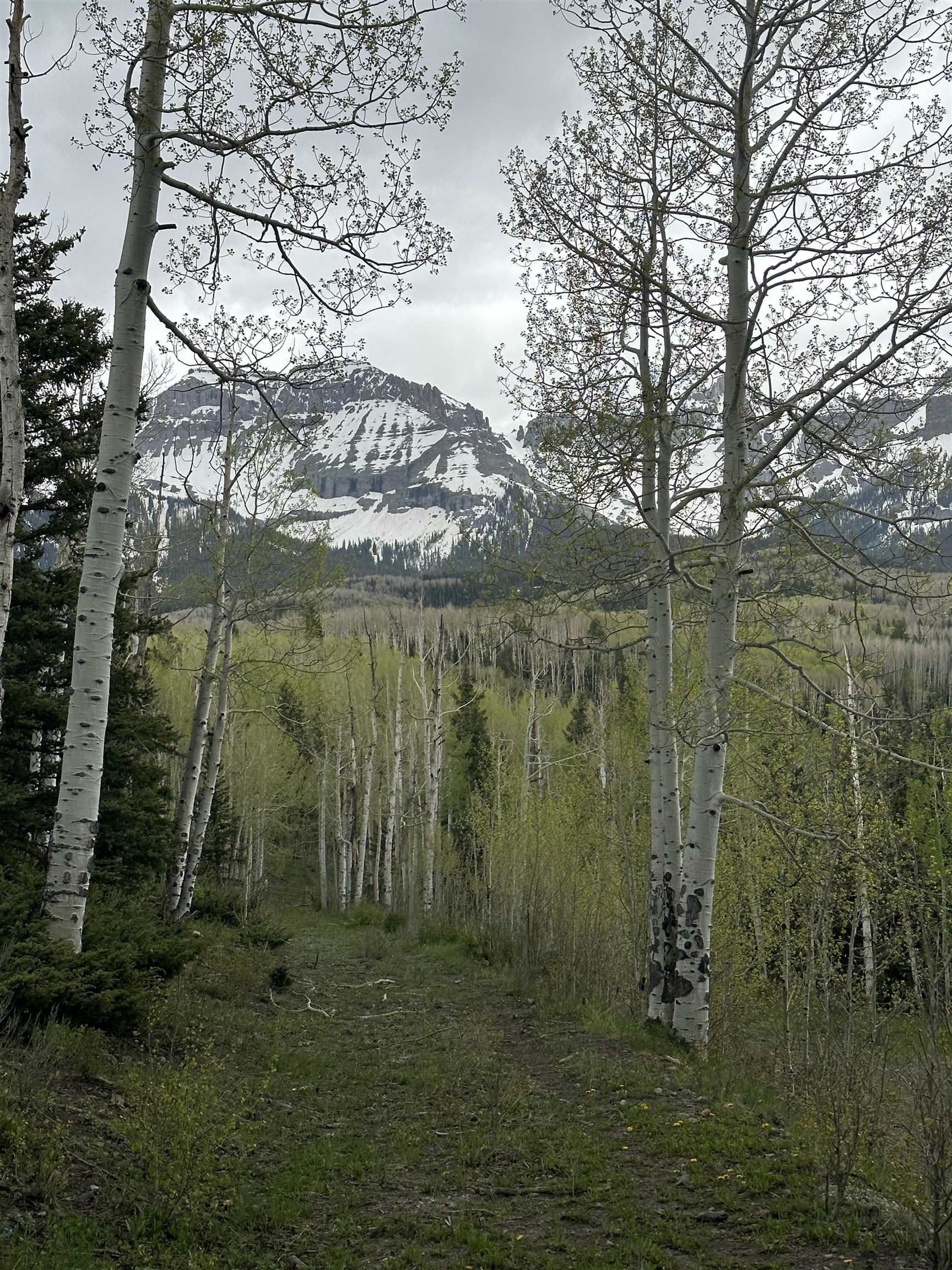 5 County Road 5, Unit TRACT 13 Ridgway, CO 81432 - Photo 3 of 19