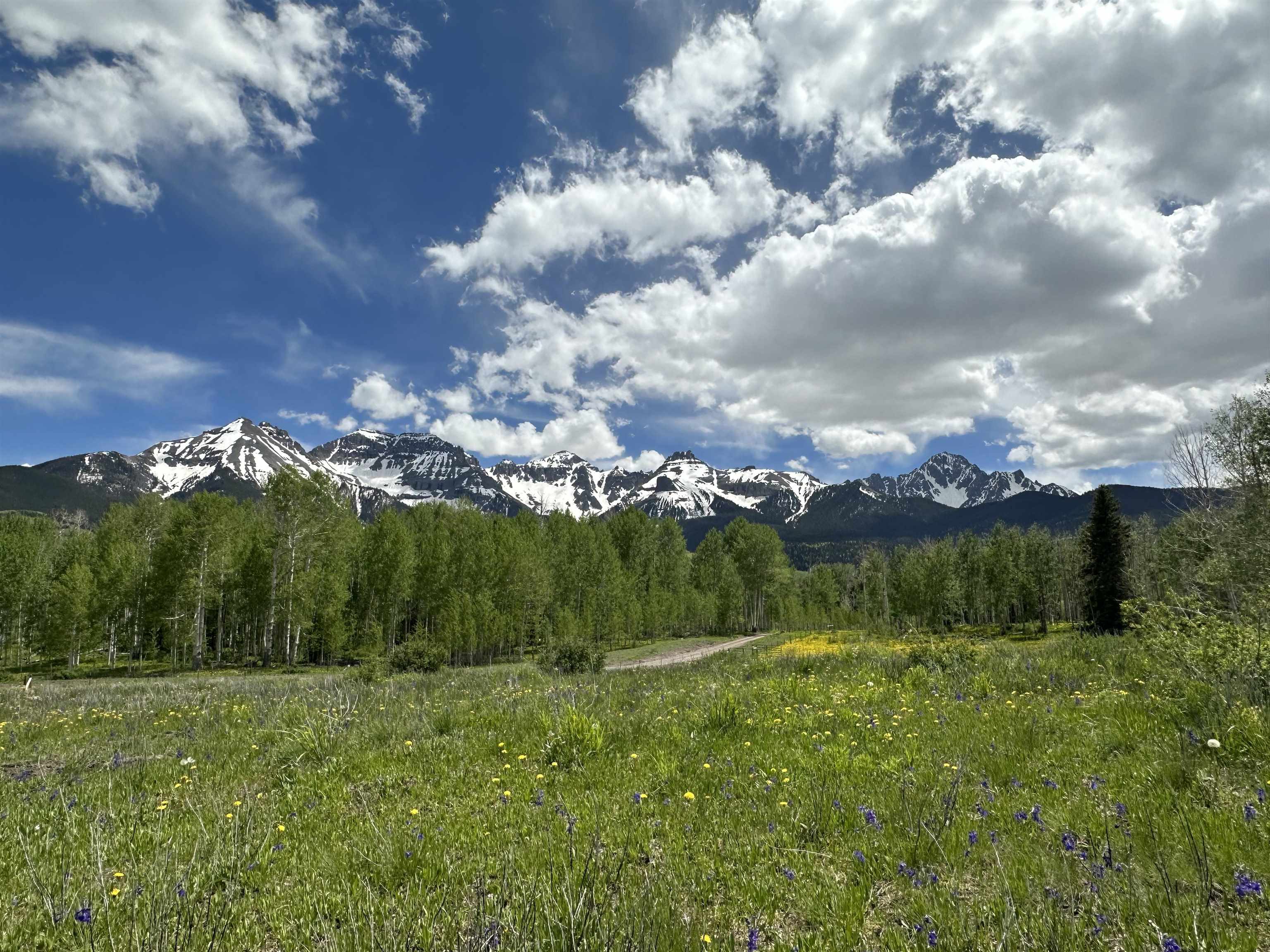 5 County Road 5, Unit TRACT 13 Ridgway, CO 81432 - Photo 5 of 19