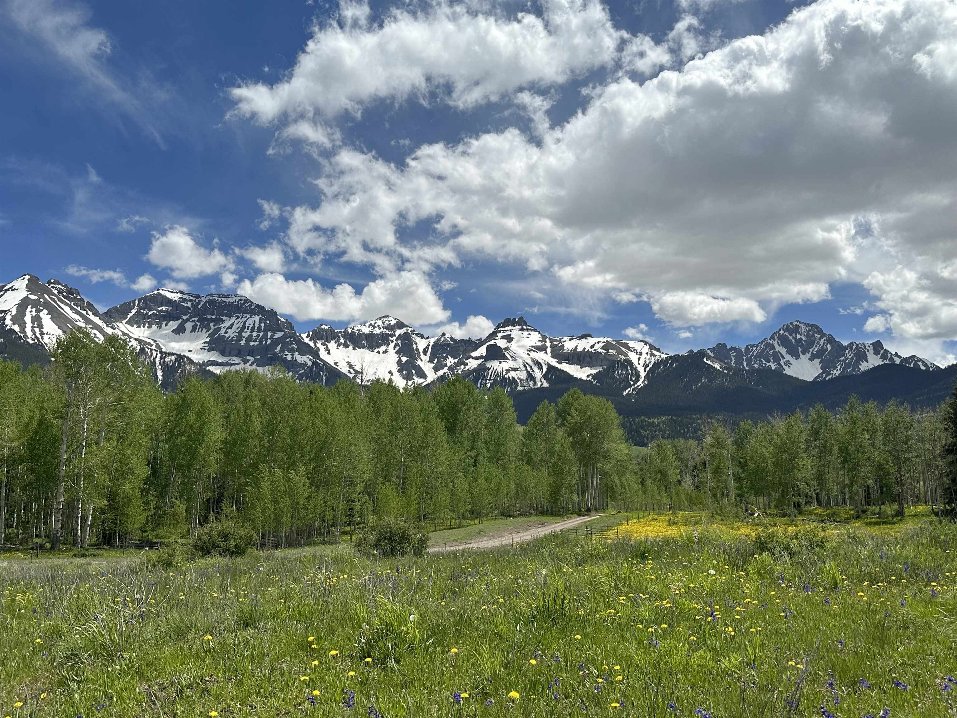 5 County Road 5, Unit TRACT 13 Ridgway, CO 81432 - Photo 9 of 19