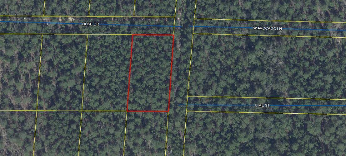 Lot6-blk9 Lot6-blk9 Duke Road DeFuniak Springs, FL 32433 - Photo 1 of 1 Gallery Image 1