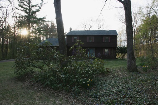 11 Cole Road Williamsburg, MA 01039 - Photo 26 of 30 a view of a street sign under a large tree