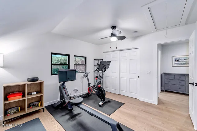 a view of a backyard with plants and a large tree