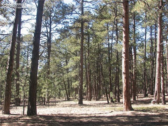 19775 Wing Tip Road Colorado Springs, CO 80908 - Photo 11 of 17