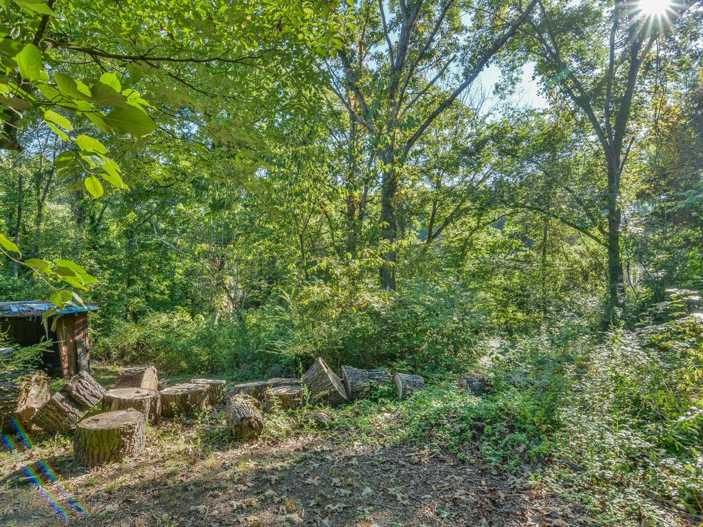 276-288 Rockingham Road Johnson City, TN 37615 - Photo 32 of 36 No neighbors visible
