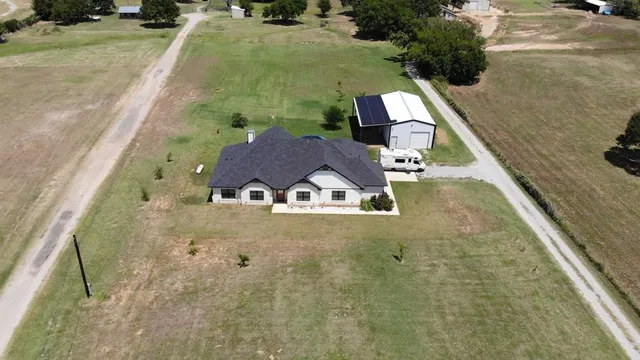 a view of a big yard with plants and a large tree