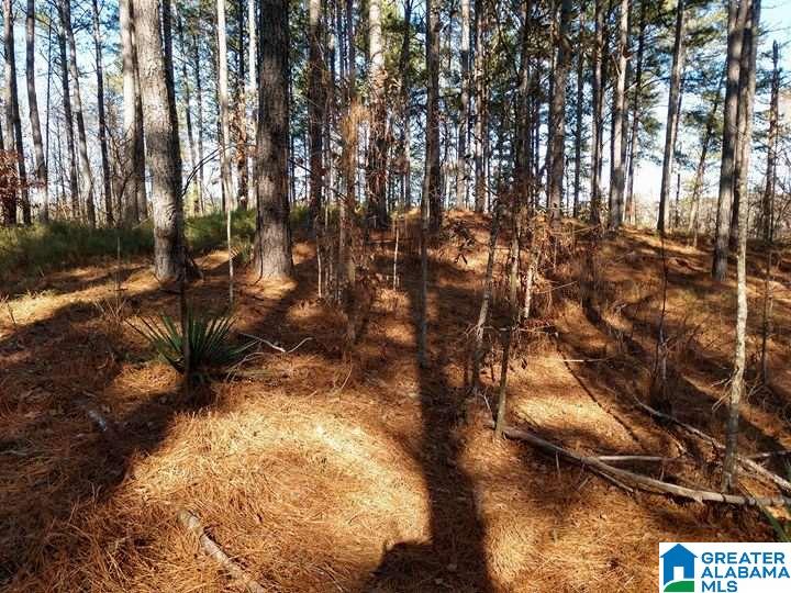 Franklin Ferry Road, Unit 17 Oakman, AL 35579 - Photo 7 of 22