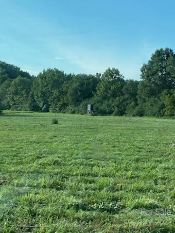 1852 Okeewemee Road Troy, NC 27371 - Photo 11 of 31 a view of outdoor space with trees all around
