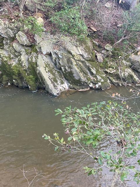 1852 Okeewemee Road Troy, NC 27371 - Photo 14 of 31 a view of lake