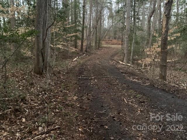1852 Okeewemee Road Troy, NC 27371 - Photo 20 of 31 a view of a forest with trees in the background