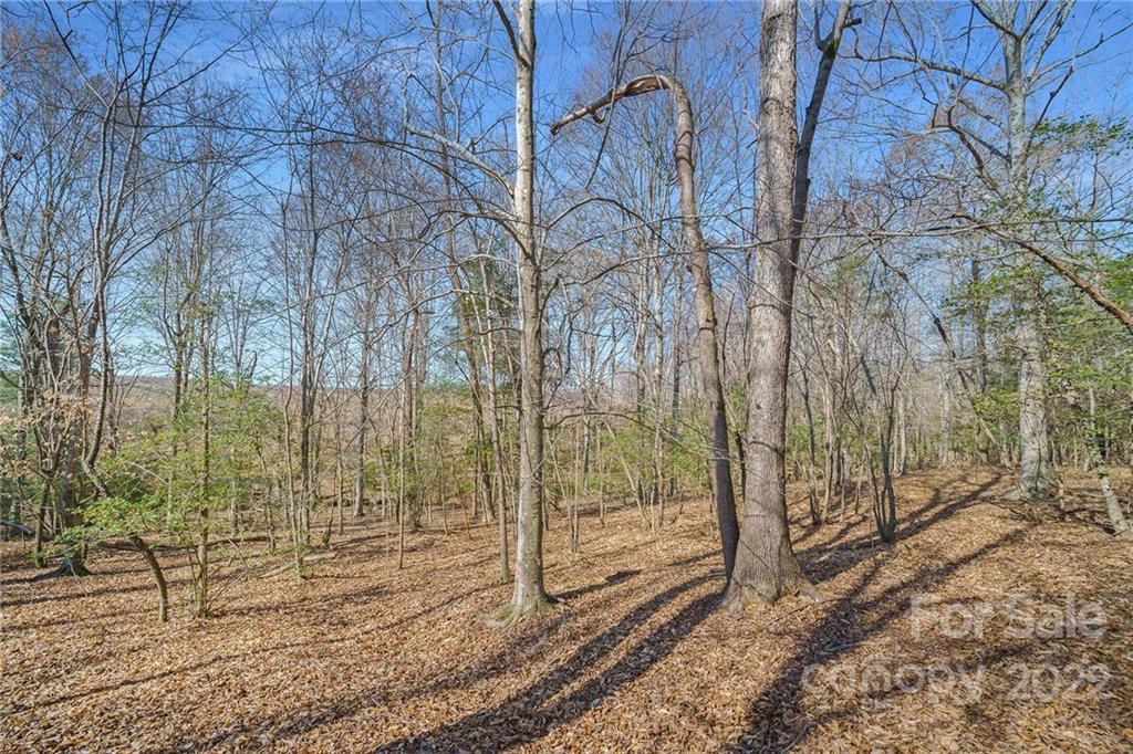 1852 Okeewemee Road Troy, NC 27371 - Photo 8 of 31 a view of a yard with trees