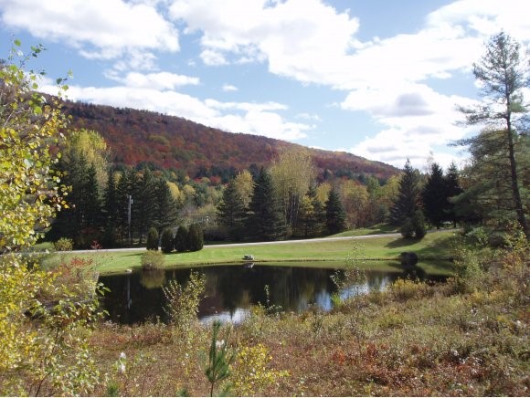 276 Stage Road, Unit 253A Killington, VT 05751 - Photo 9 of 24 Gallery Image 9