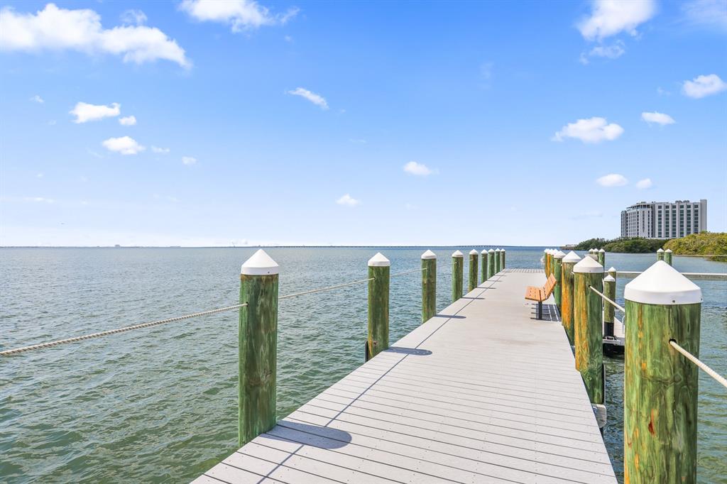 5302 Bay Club Circle Tampa, FL 33607 - Photo 36 of 43