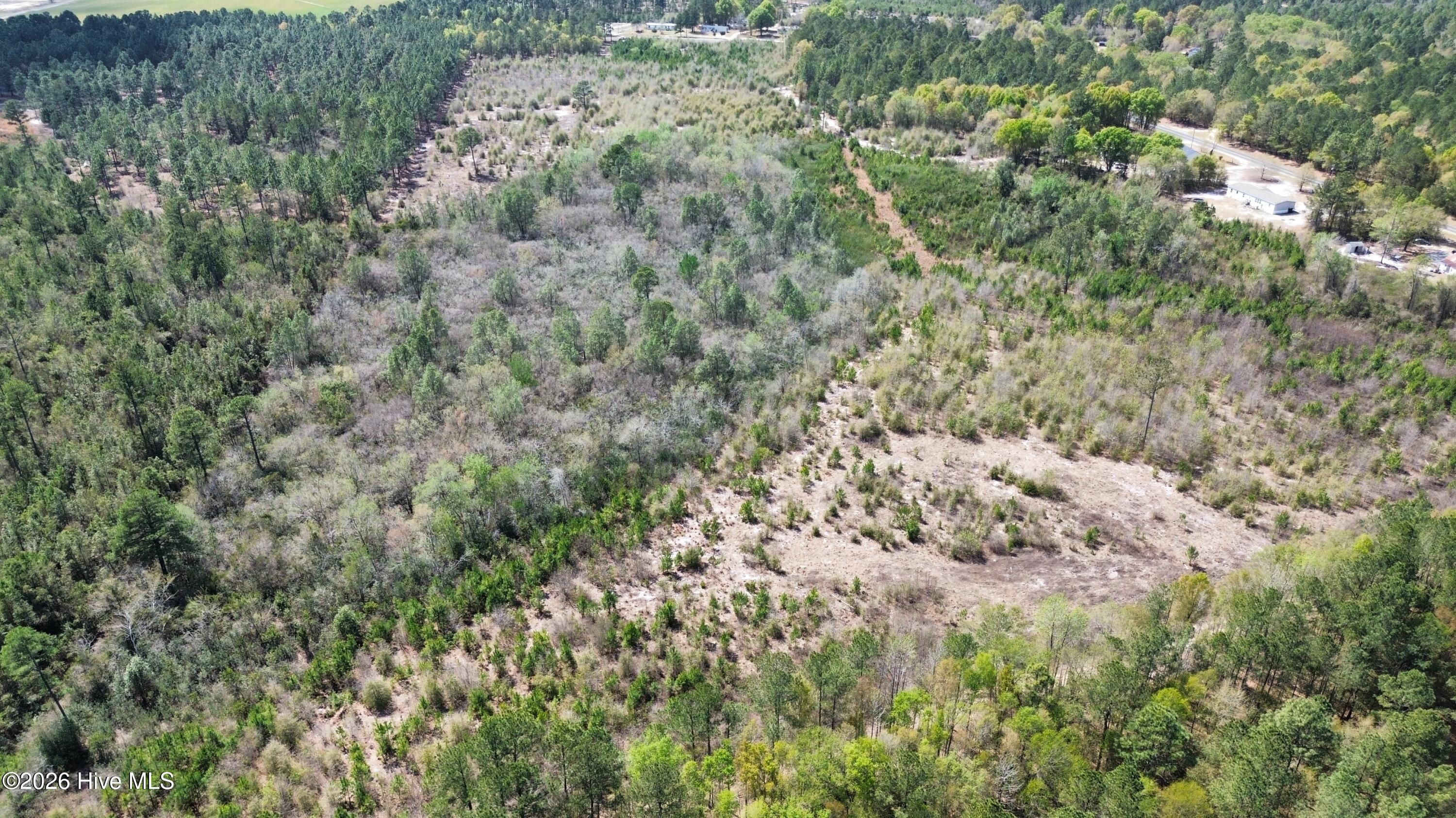 0 Wilbur Pridgen Road Harrells, NC 28444 - Photo 6 of 7 dji_fly_20260401_142032_9_1775095996738_