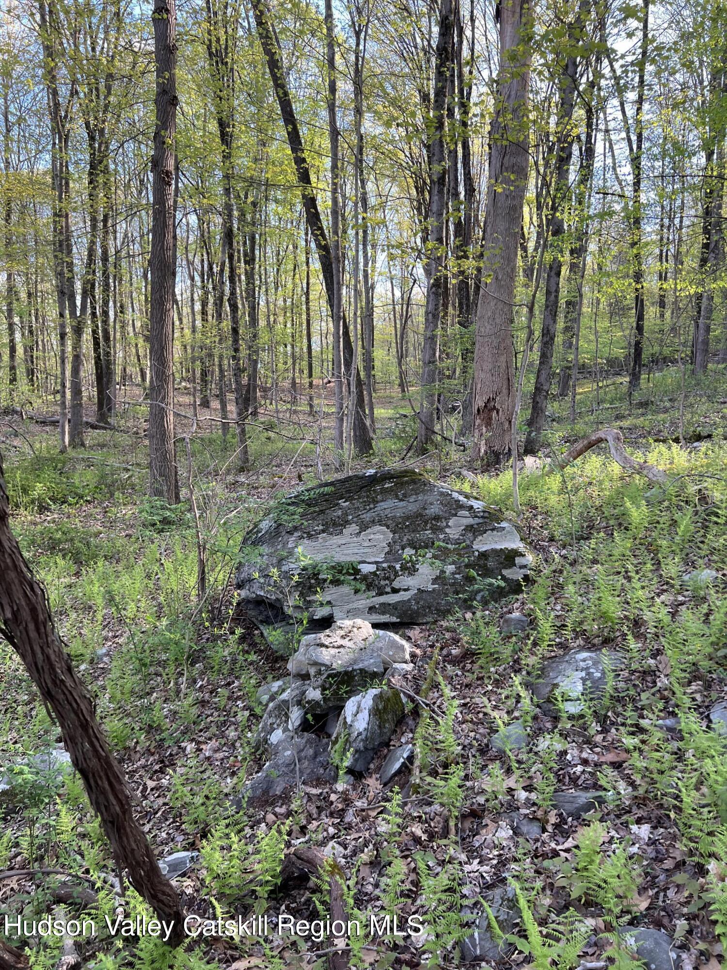 Landscape #1