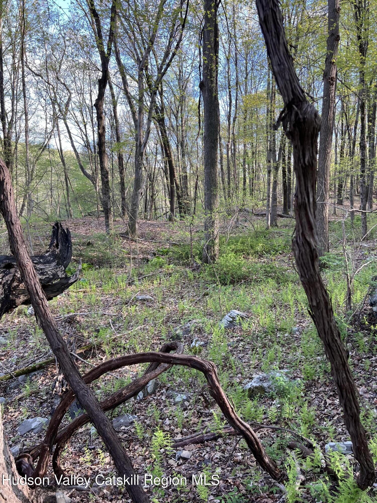 1234 Lakes Road Monroe, NY 10950 - Photo 2 of 7 Landscape #2