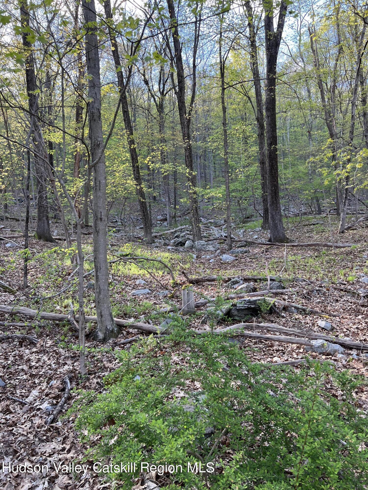1234 Lakes Road Monroe, NY 10950 - Photo 4 of 7 Landscape #4