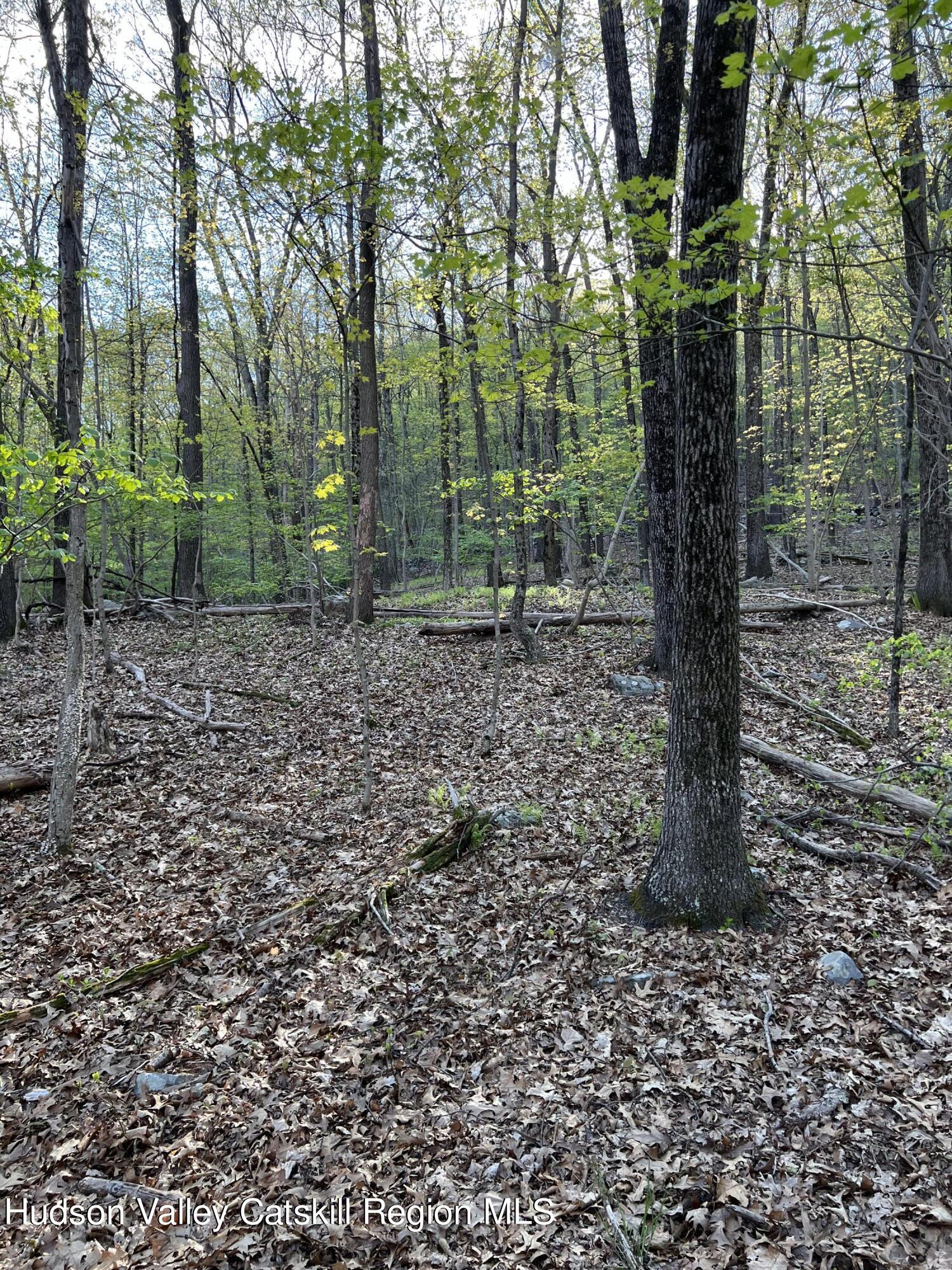 1234 Lakes Road Monroe, NY 10950 - Photo 5 of 7 Landscape #5
