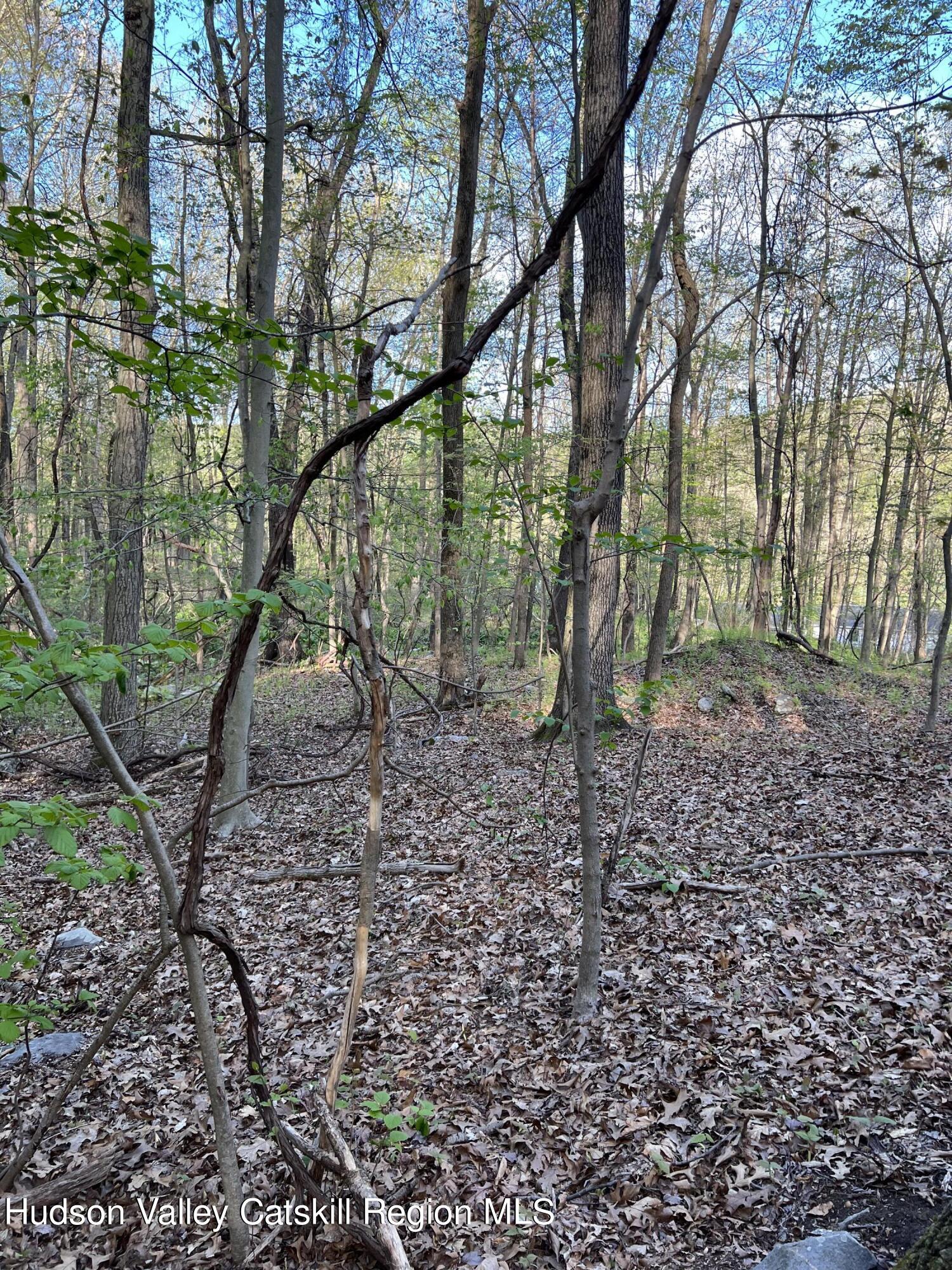 1234 Lakes Road Monroe, NY 10950 - Photo 7 of 7 Landscape #7