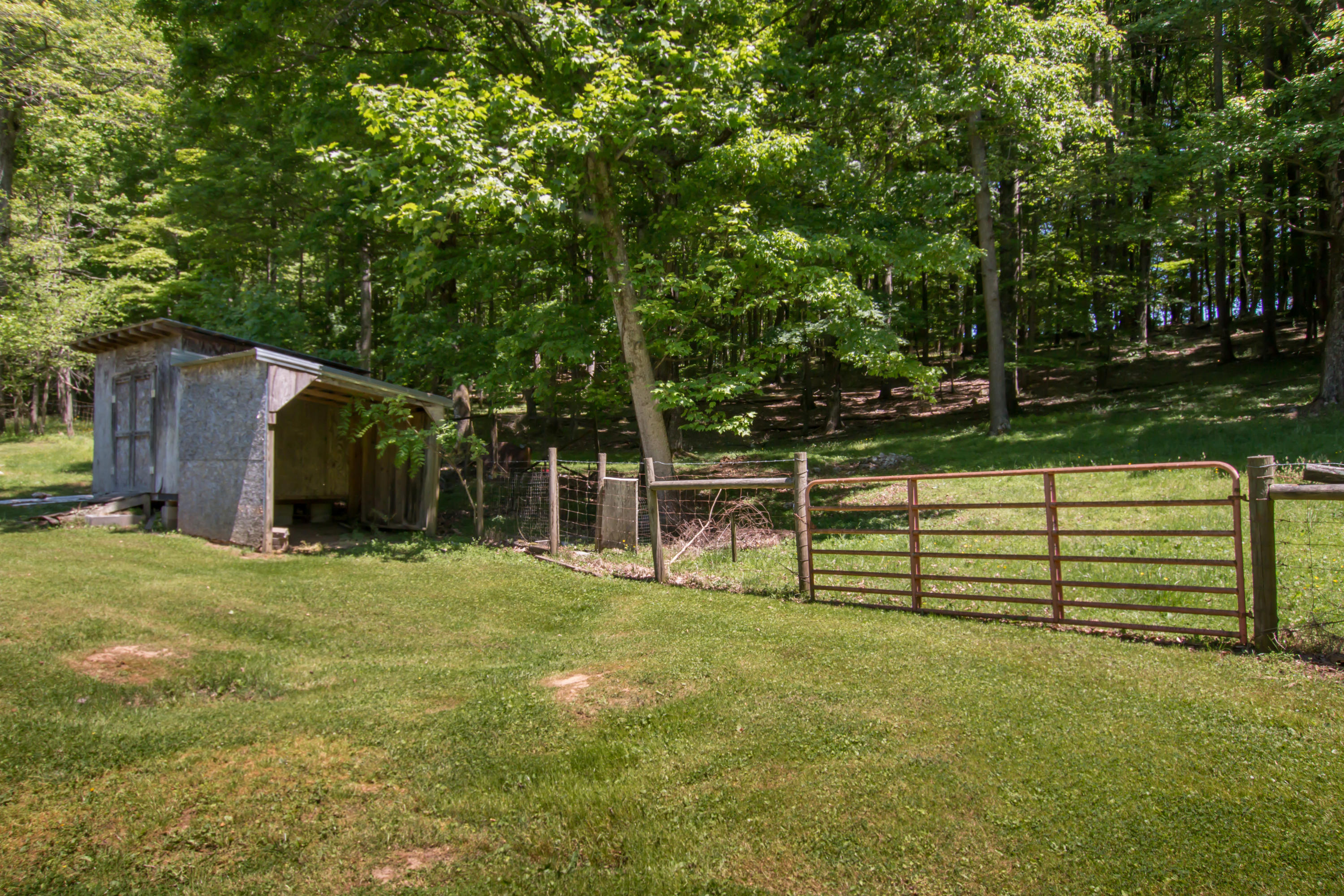 13175 Chip Ridge Road Abingdon, VA 24210 - Photo 23 of 35 Chip Ridge-33