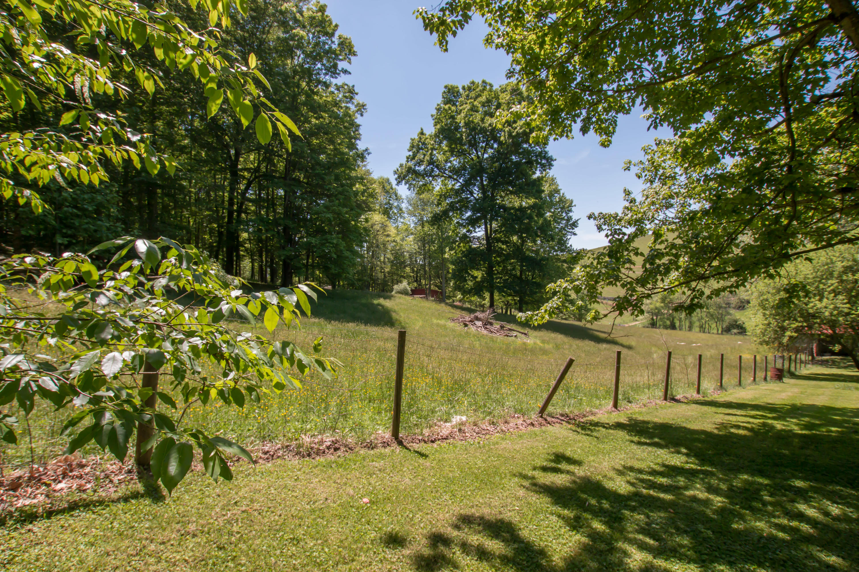 13175 Chip Ridge Road Abingdon, VA 24210 - Photo 24 of 35 Chip Ridge-34