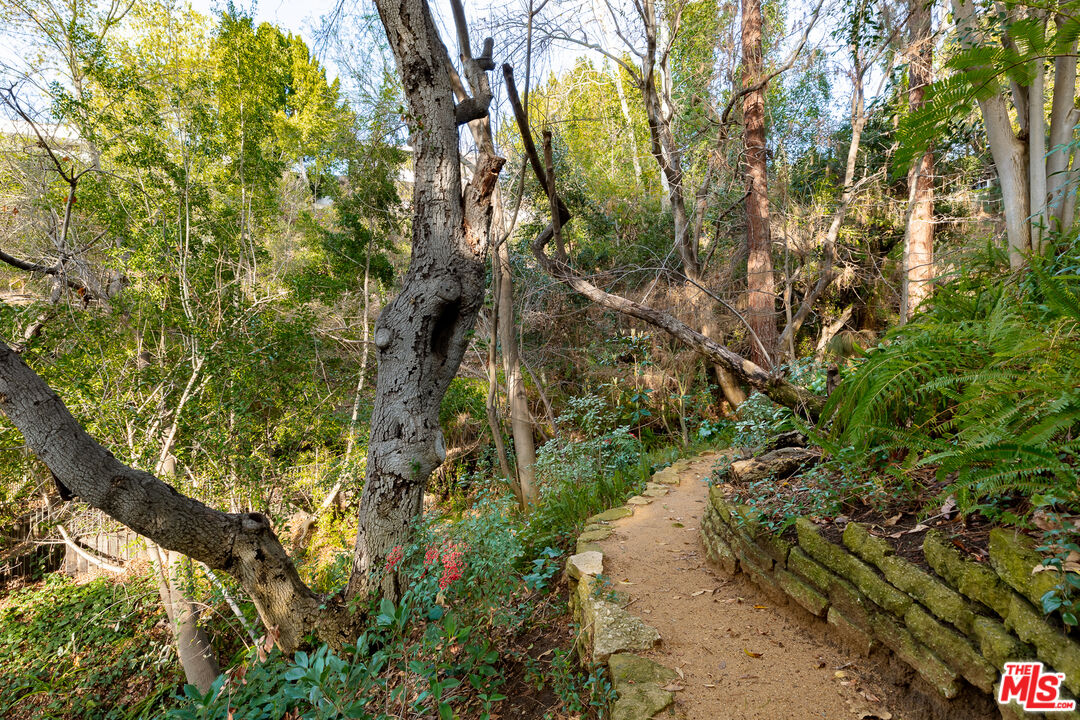 3114 Streamview Lane Studio City, CA 91604 - Photo 56 of 75 a backyard of a house with lots of green space