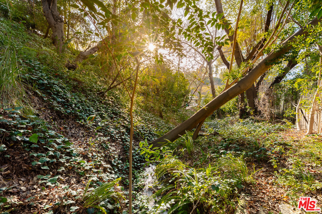 3114 Streamview Lane Studio City, CA 91604 - Photo 57 of 75 a view of mountain view with a tree