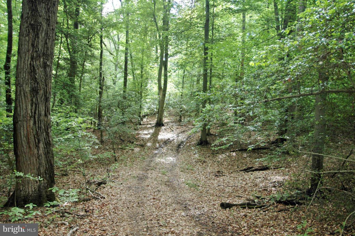 Cactus Hill Road Accokeek, MD 20607 - Photo 3 of 12 View