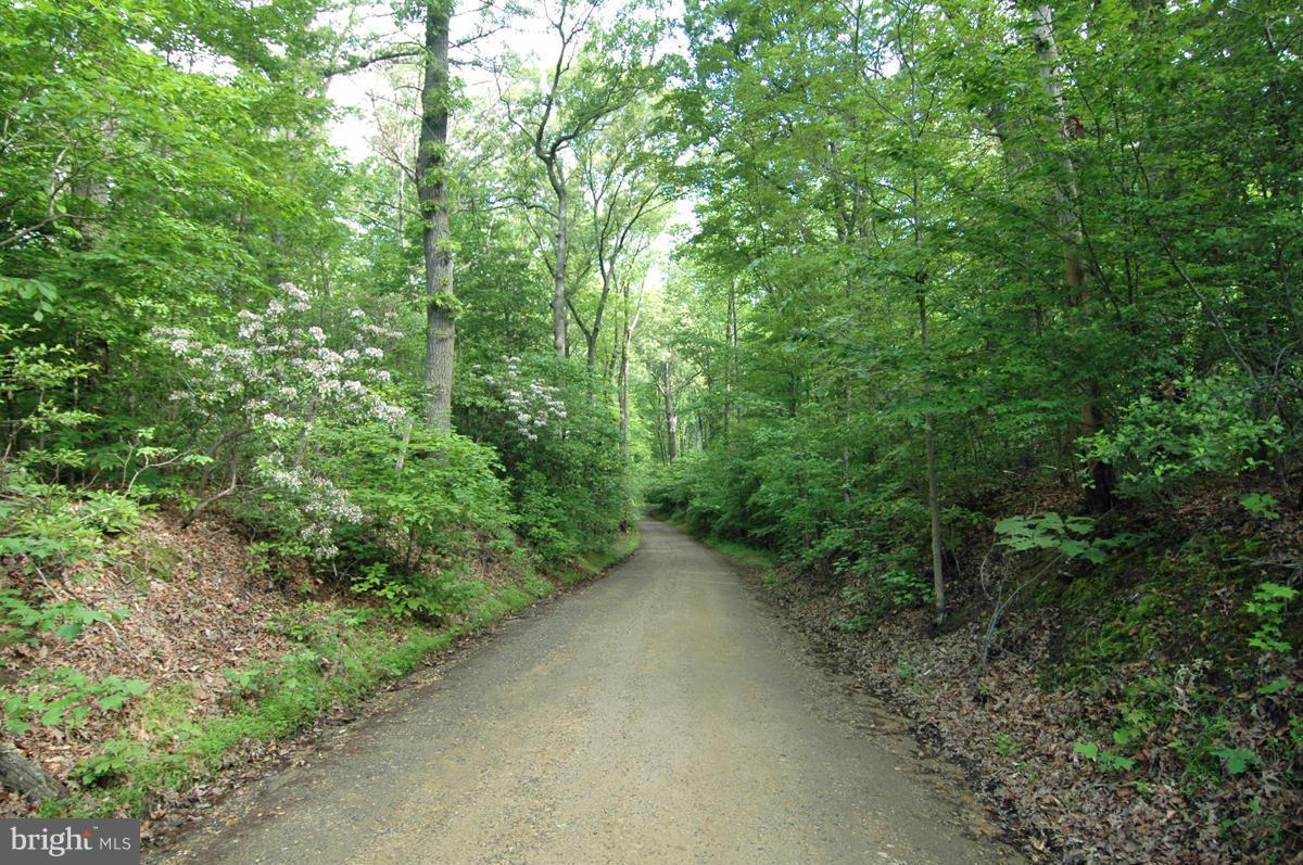 Cactus Hill Road Accokeek, MD 20607 - Photo 7 of 12 View
