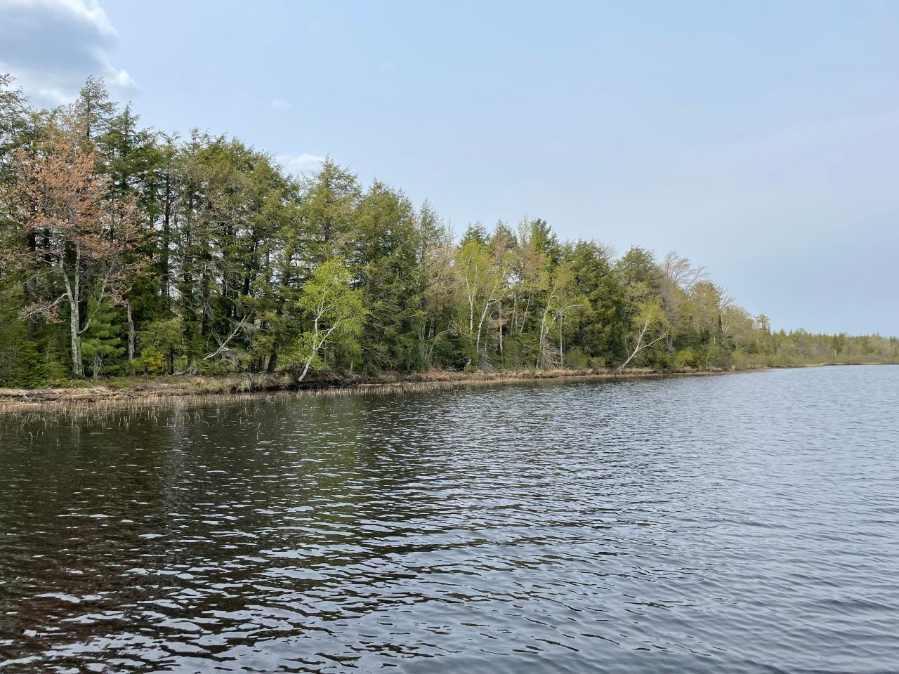 Near Rustic Lane Eagle River, WI 54521 - Photo 4 of 13 Gallery Image 4
