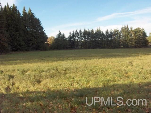 914 West Co Road Florence, WI 54121 - Photo 8 of 29