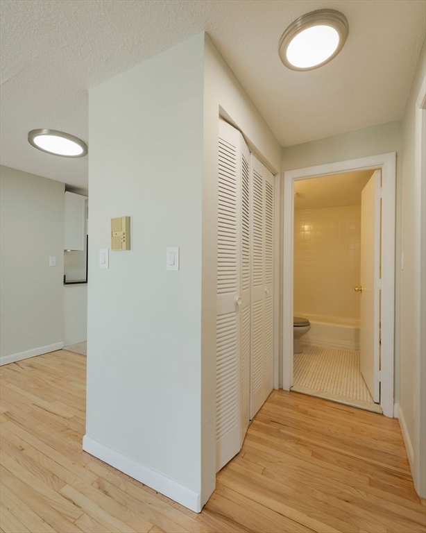 280 Corey Road, Unit 23 Boston, MA 02135 - Photo 13 of 19 wooden floor in an empty room with a window