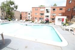 280 Corey Road, Unit 23 Boston, MA 02135 - Photo 18 of 19 a swimming pool with outdoor seating and yard