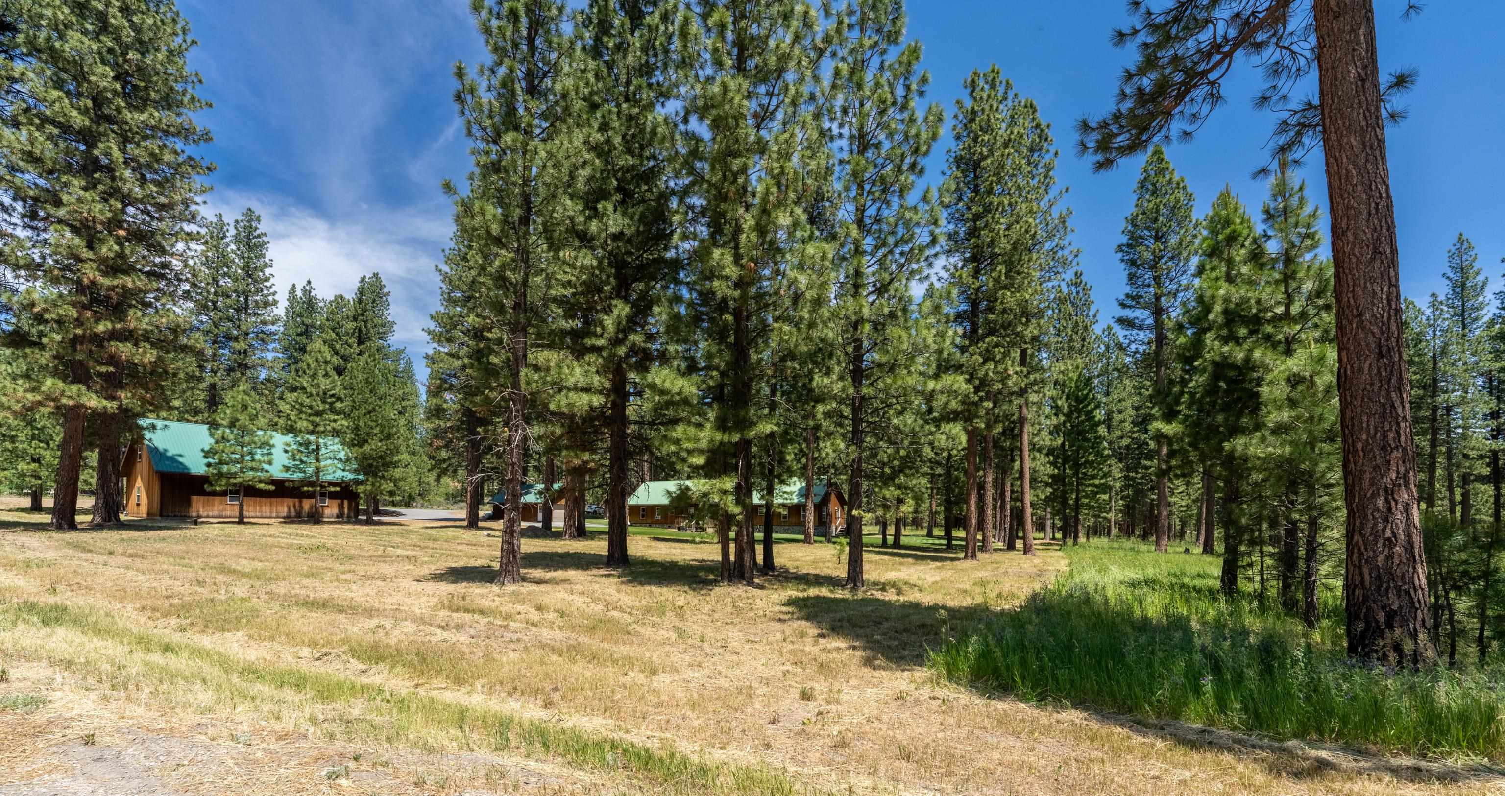 97 Main Street Calpine, CA 96124 - Photo 42 of 46