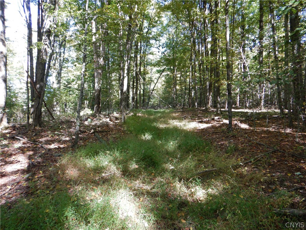 Phillips Road Windsor, NY 13865 - Photo 15 of 43 Gallery Image 15
