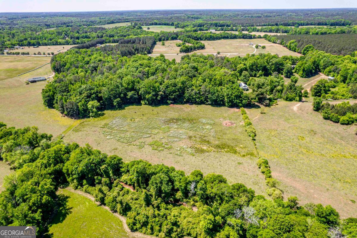 1401 Fieldcrest Court Buckhead, GA 30625 - Photo 11 of 50