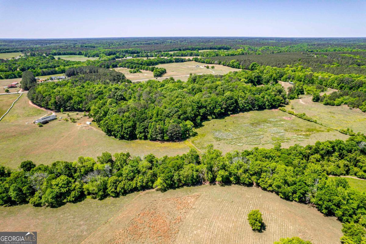 1401 Fieldcrest Court Buckhead, GA 30625 - Photo 9 of 50
