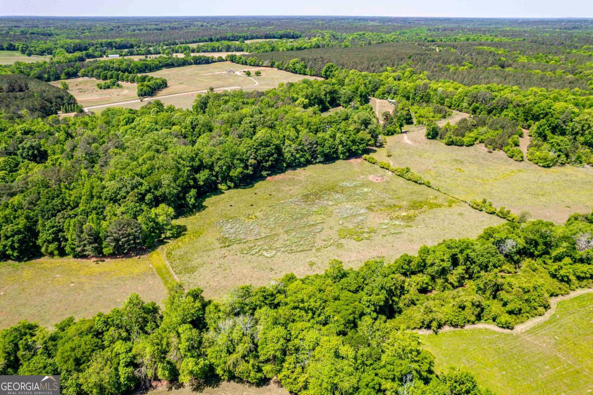 1401 Fieldcrest Court Buckhead, GA 30625 - Photo 10 of 50