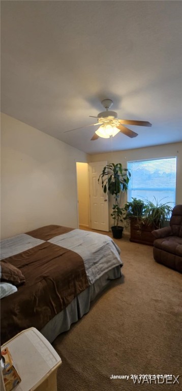 3746 Aguila Road Golden Valley, AZ 86413 - Photo 19 of 48 Bedroom