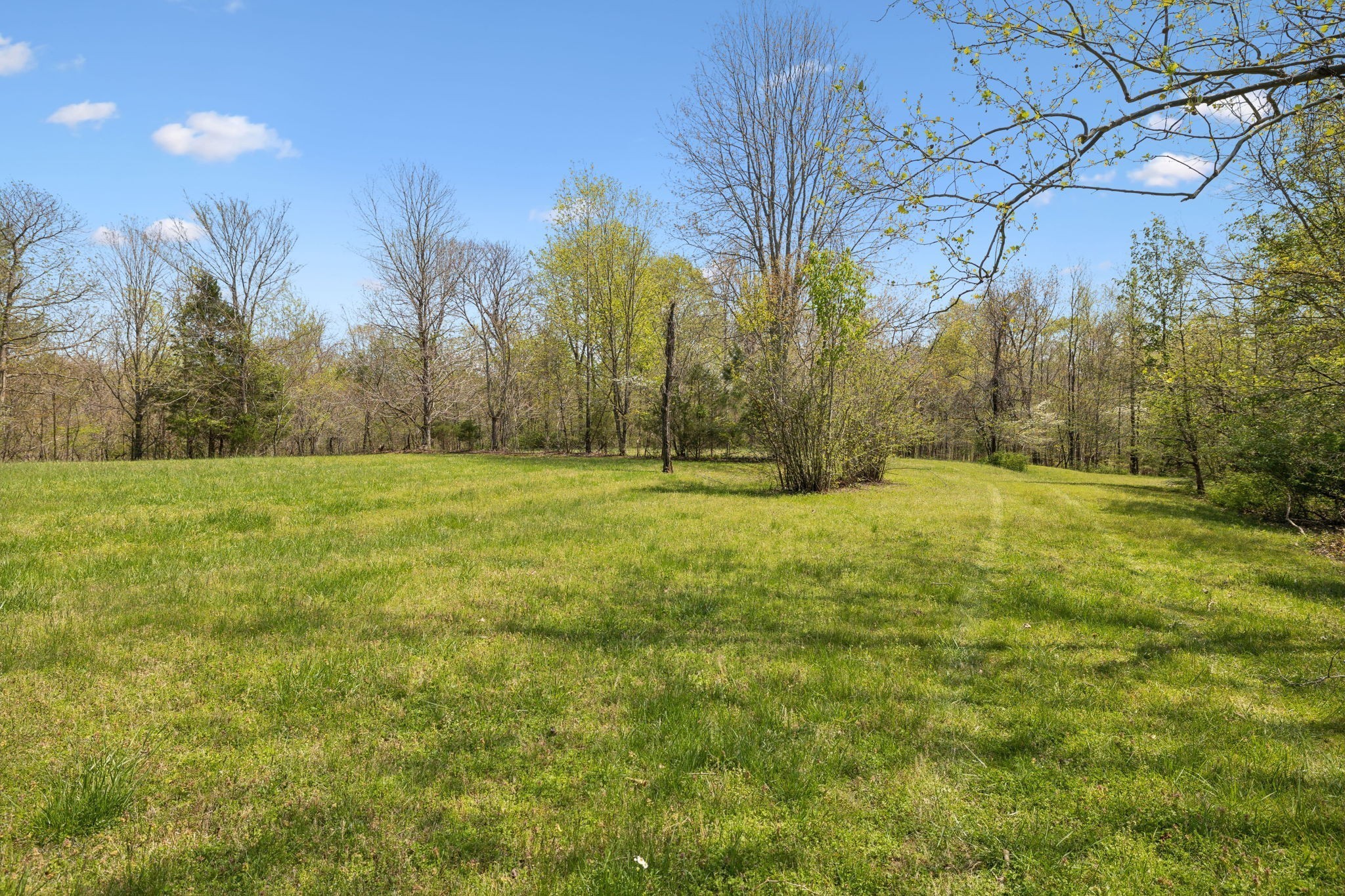 3467 Shouse Road Santa Fe, TN 38482 - Photo 37 of 55 a view of outdoor space with trees all around