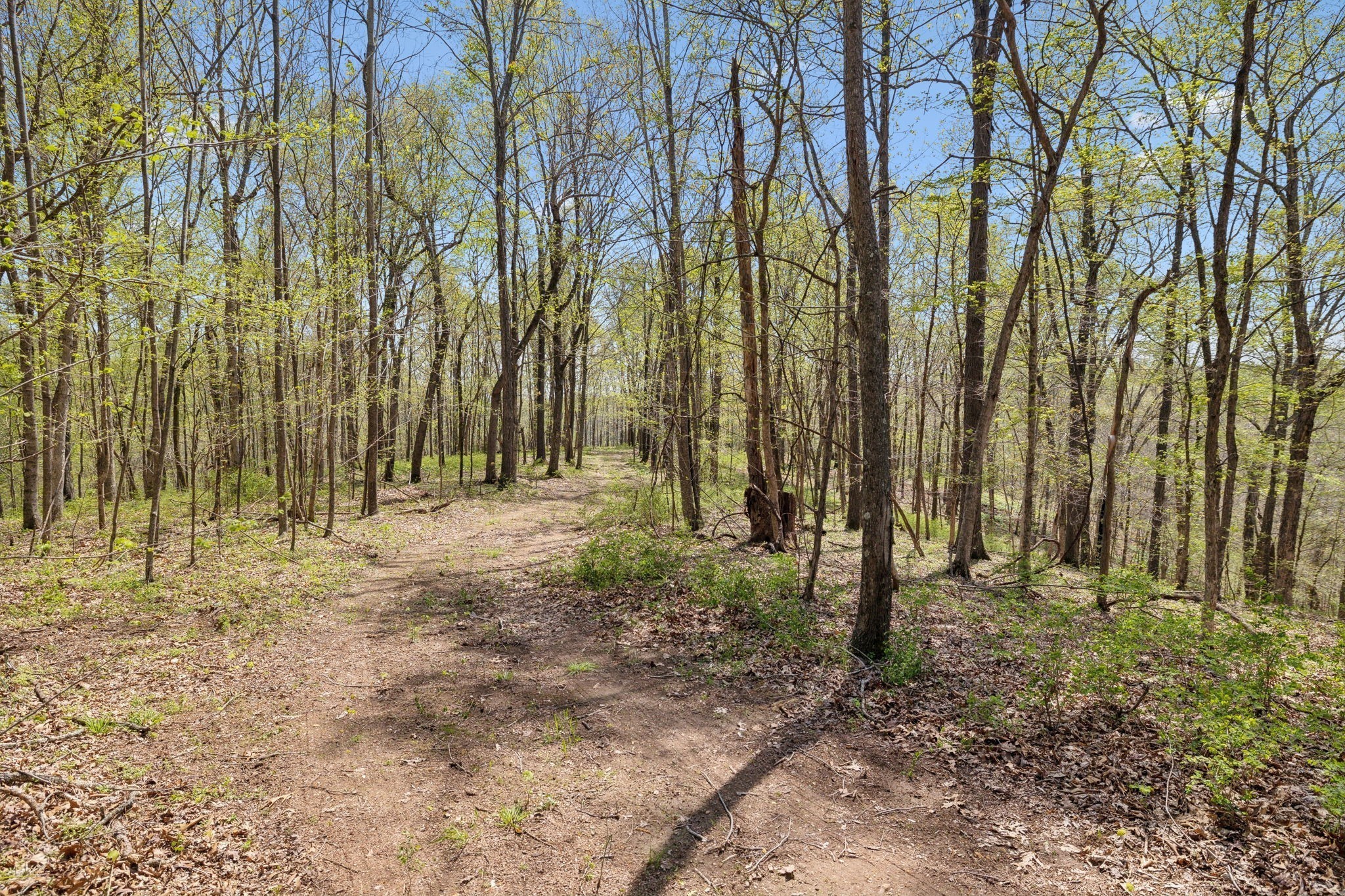 3467 Shouse Road Santa Fe, TN 38482 - Photo 38 of 55 a backyard of a house with lots of green space and chair