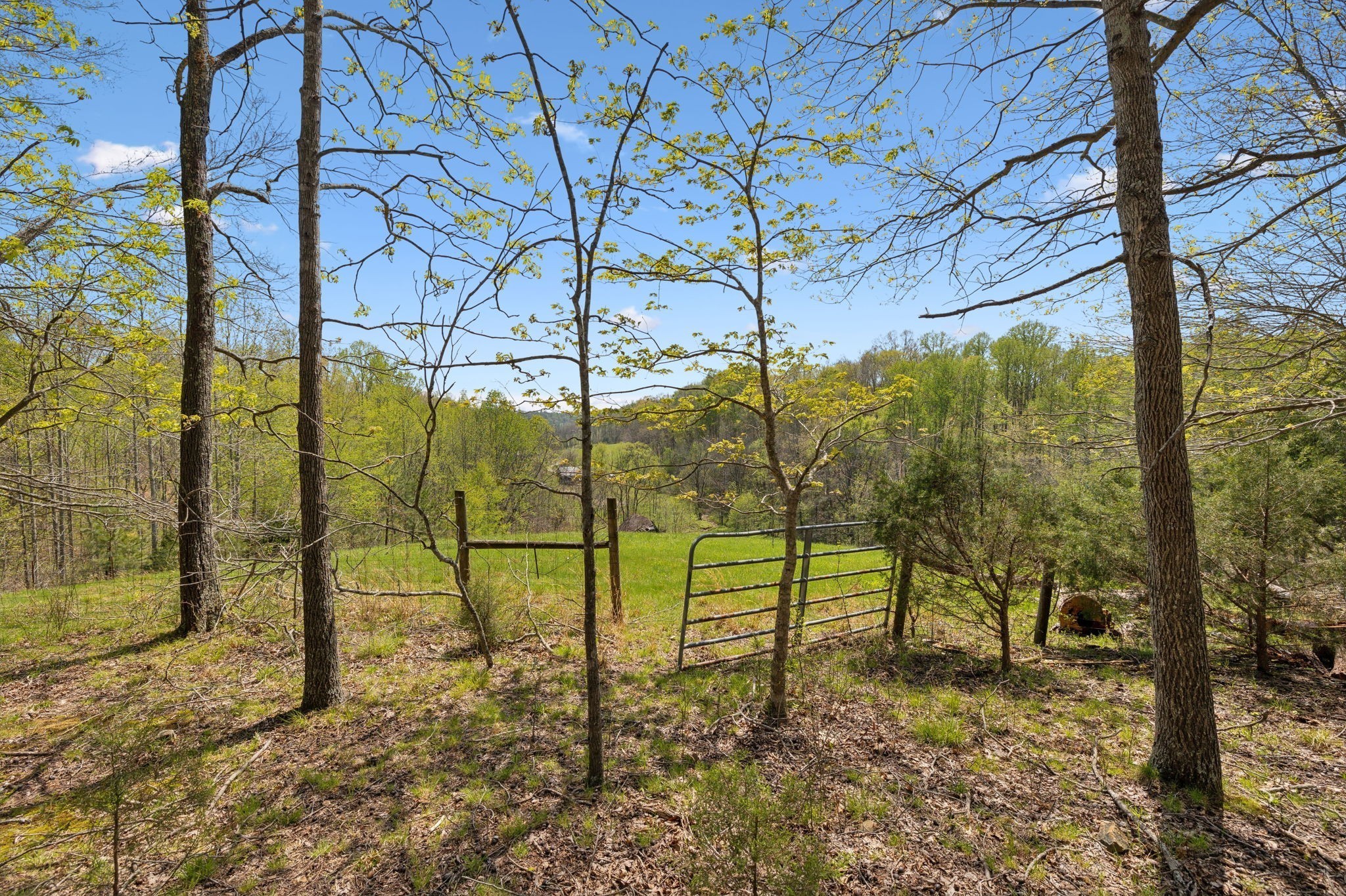 3467 Shouse Road Santa Fe, TN 38482 - Photo 41 of 55 a view of an outdoor space and yard