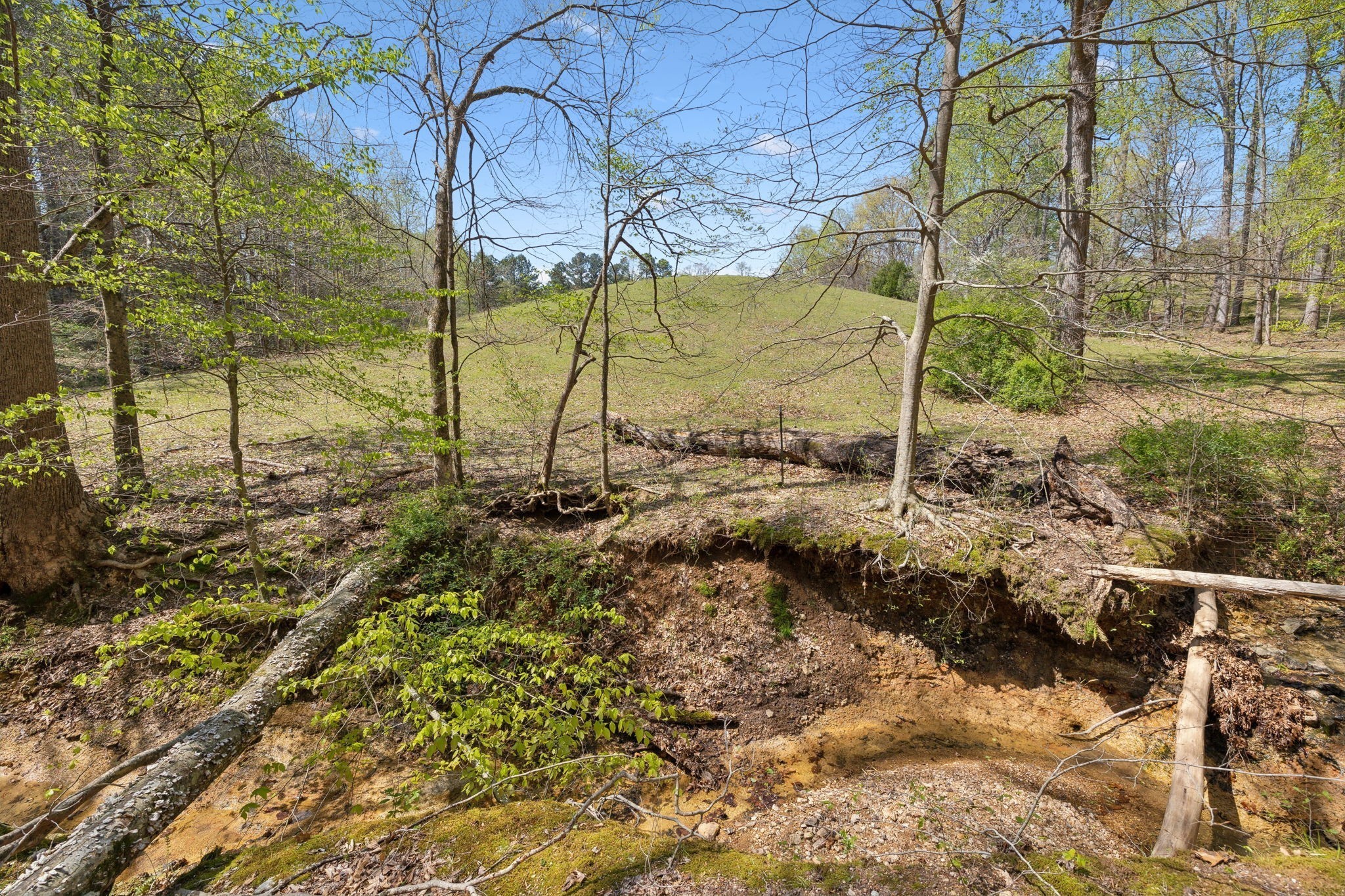 3467 Shouse Road Santa Fe, TN 38482 - Photo 48 of 55