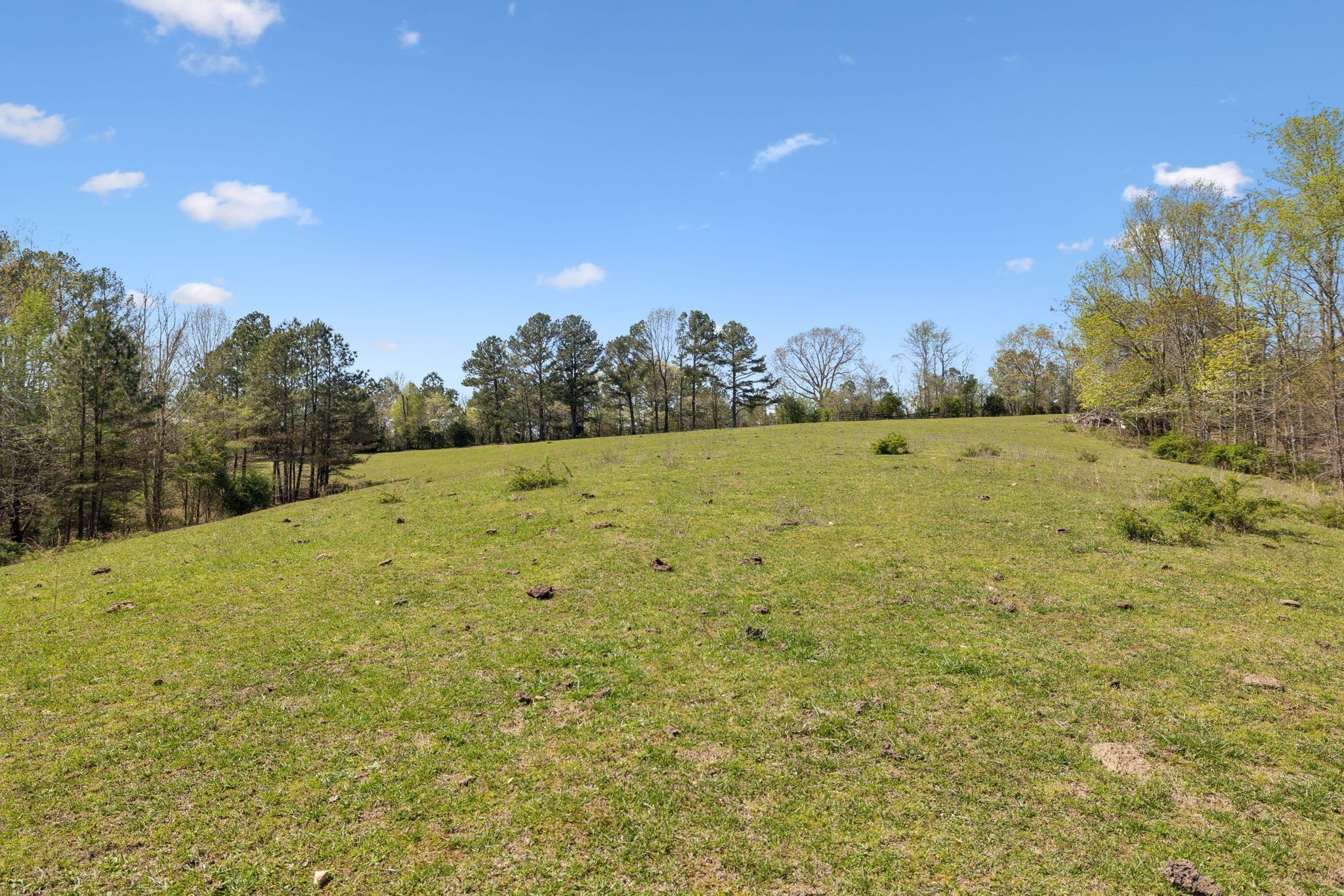 3467 Shouse Road Santa Fe, TN 38482 - Photo 51 of 55 a view of an outdoor space and a yard