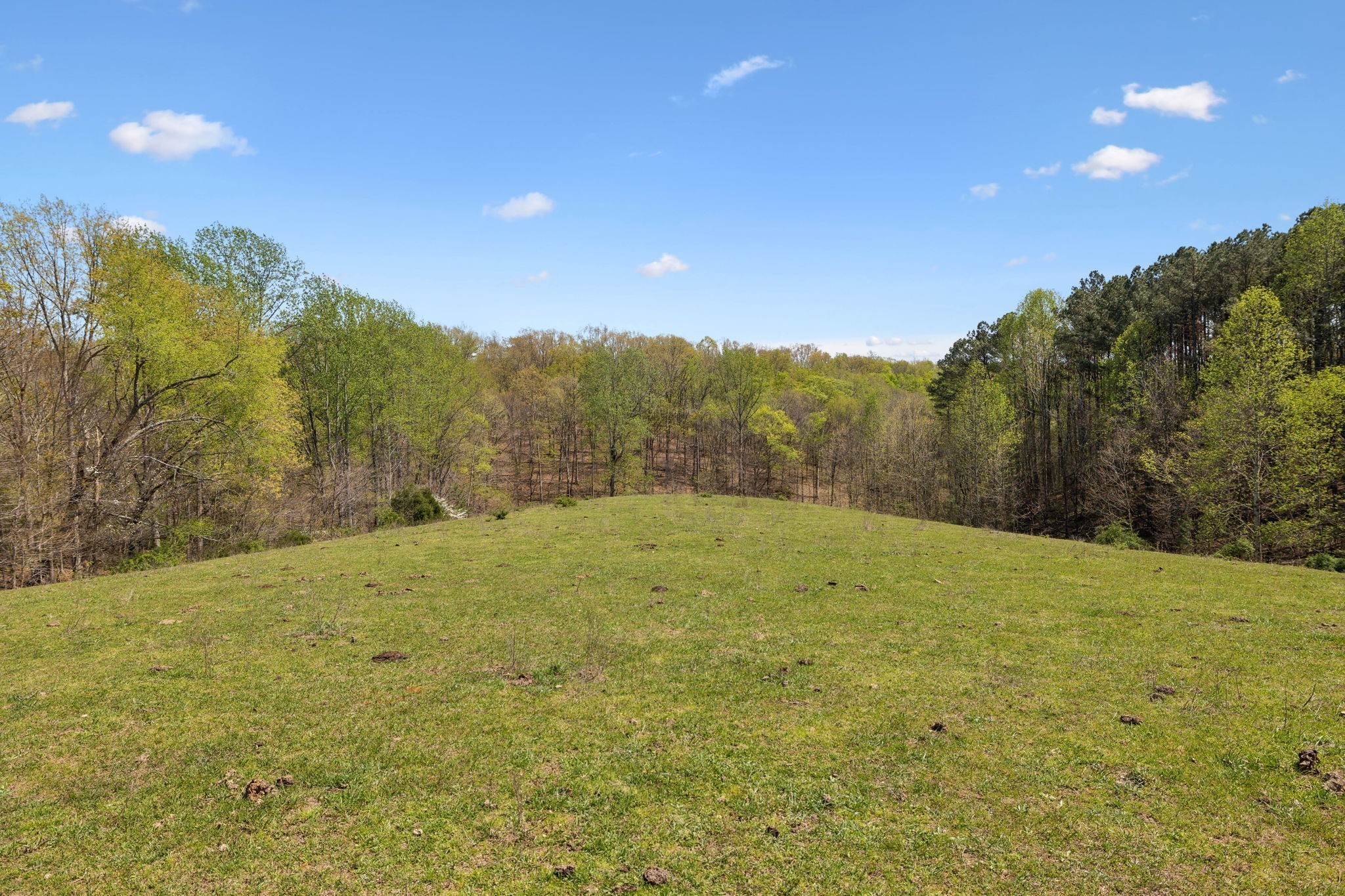 3467 Shouse Road Santa Fe, TN 38482 - Photo 52 of 55 a view of an outdoor space and yard