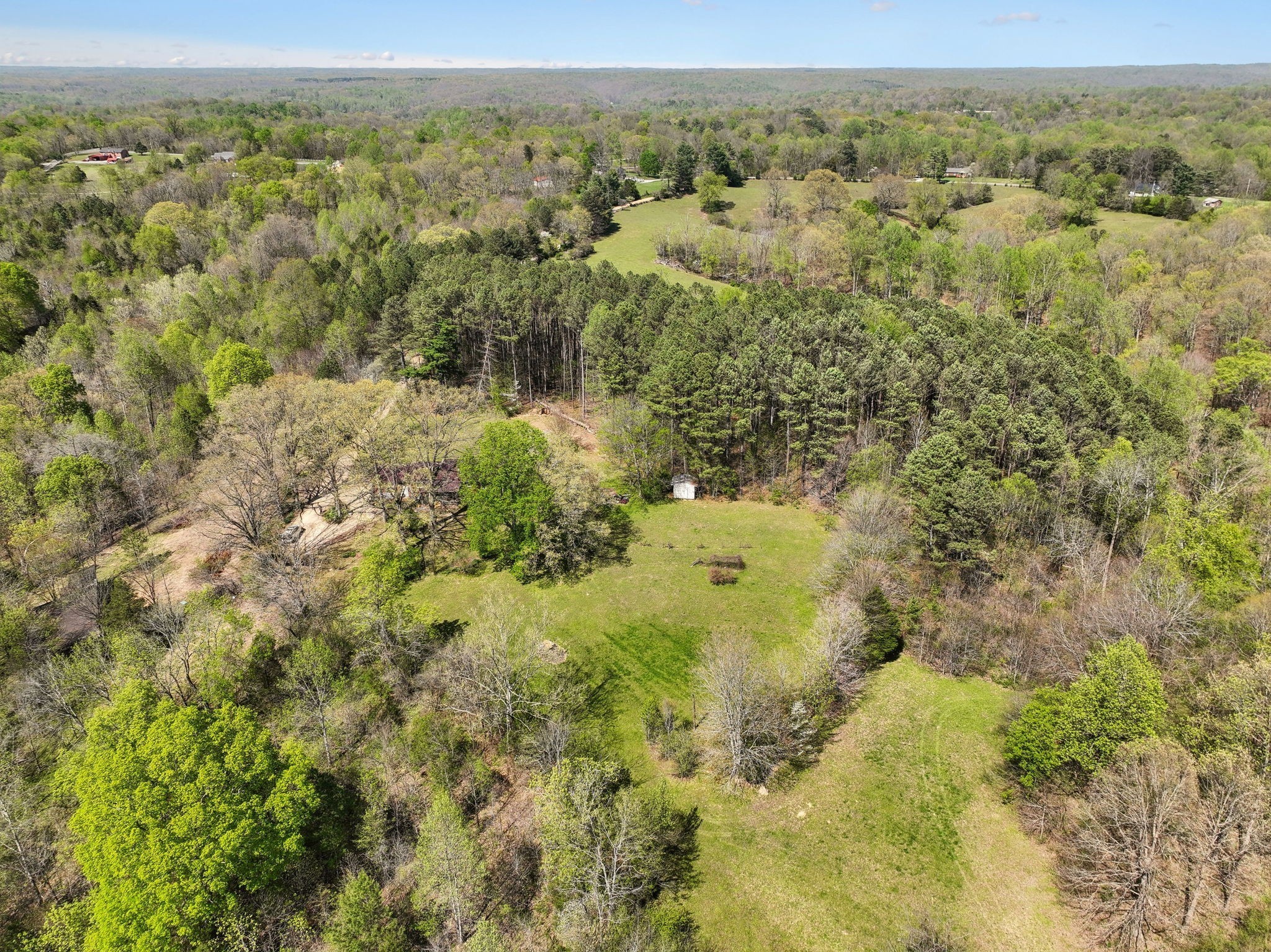 3467 Shouse Road Santa Fe, TN 38482 - Photo 54 of 55 a view of a yard with a tree