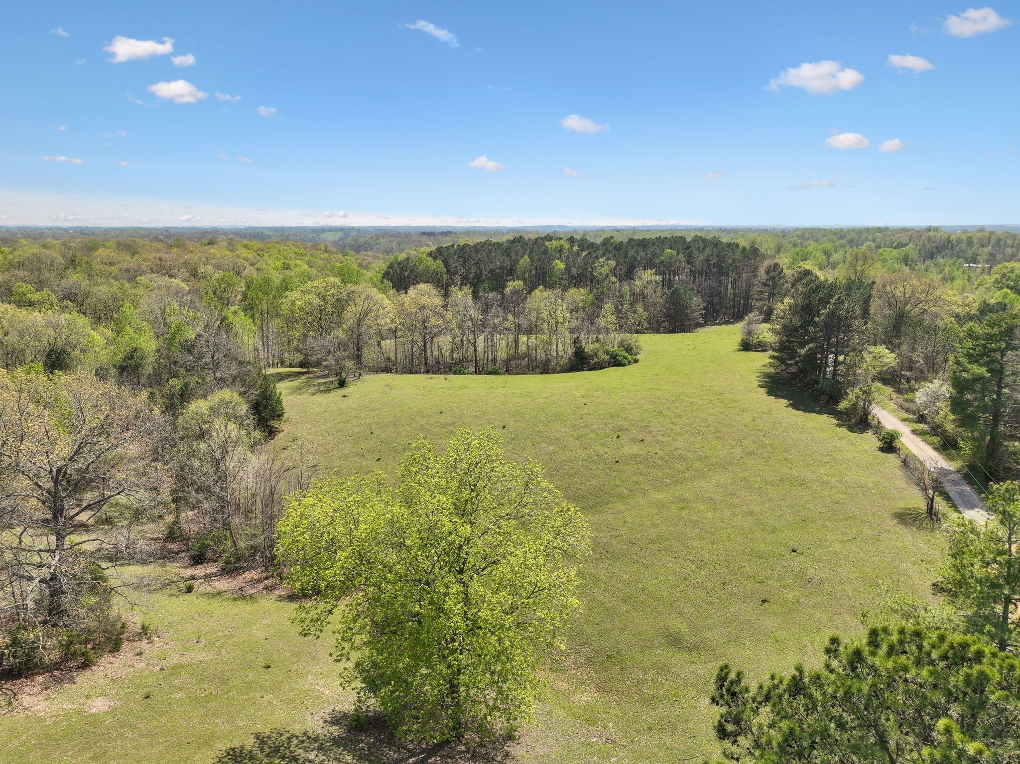 3467 Shouse Road Santa Fe, TN 38482 - Photo 7 of 55 a view of an outdoor space and a yard